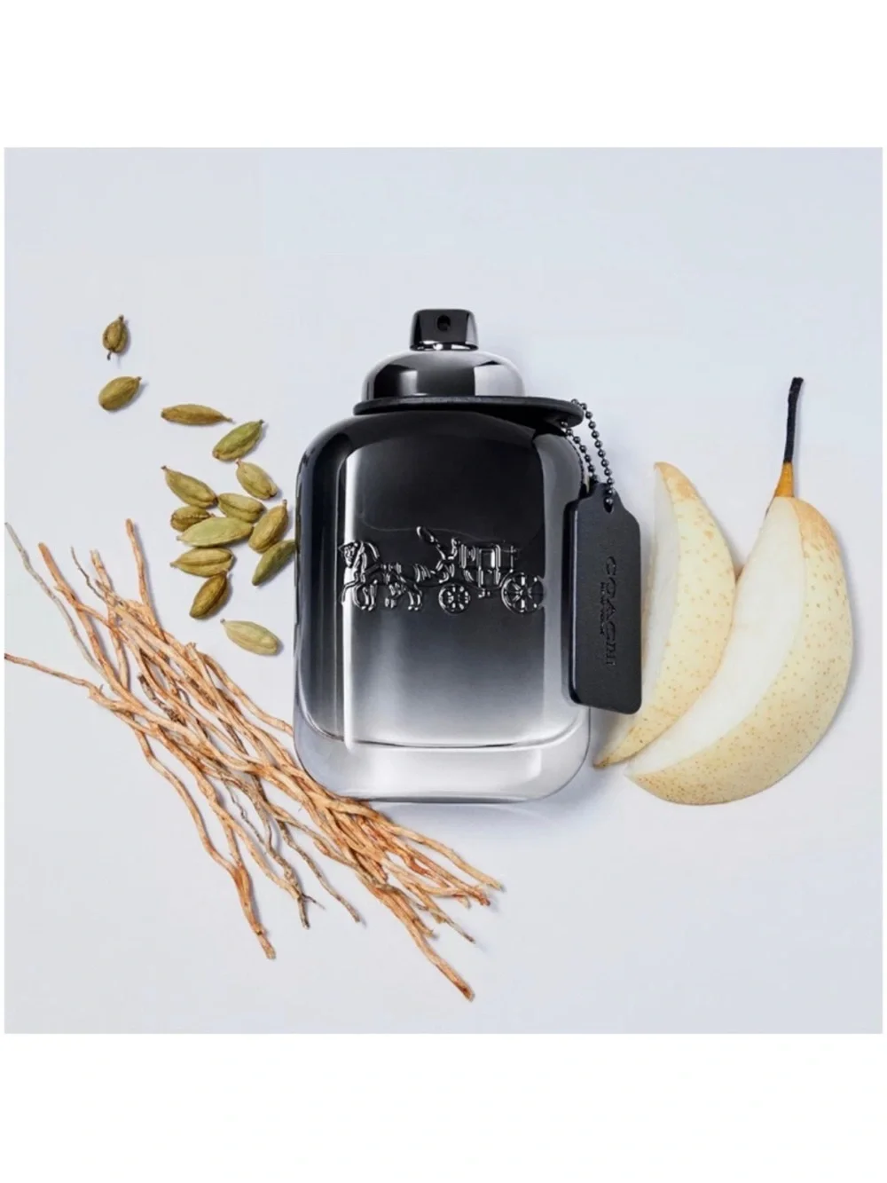 Coach Platinum Smoke Fragrance Bottle - Black/Gray Ombre